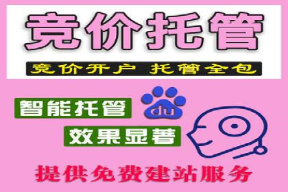 某品牌通过SEM优化实现品牌增长的故事